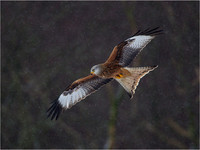 Mid-Wales