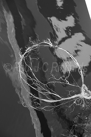 Floating rope