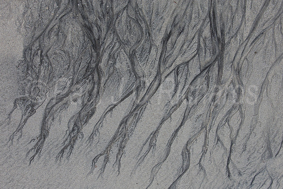 Rivers in the sand