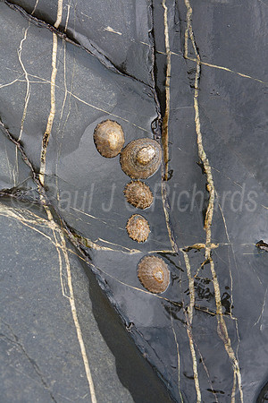 Rock art